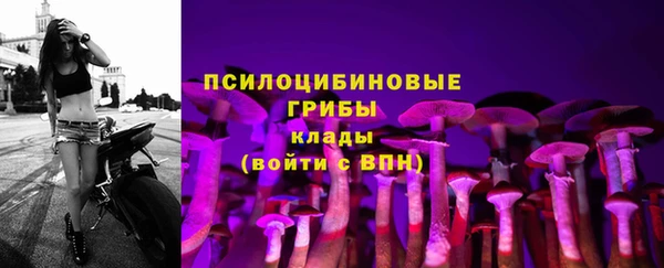 прущий лед Нефтегорск