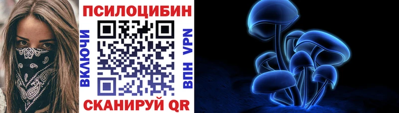 ОМГ ОМГ tor  Поворино  Псилоцибиновые грибы MAGIC MUSHROOMS 